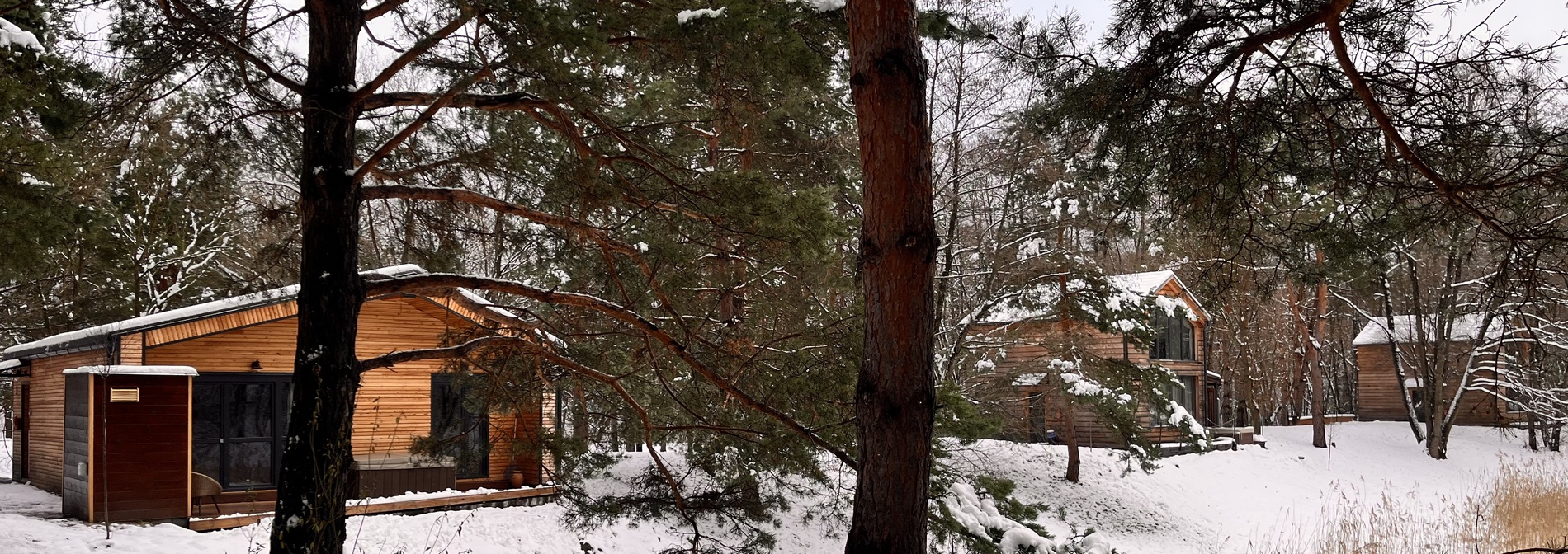 Bakony<br />Deep<br />Forest